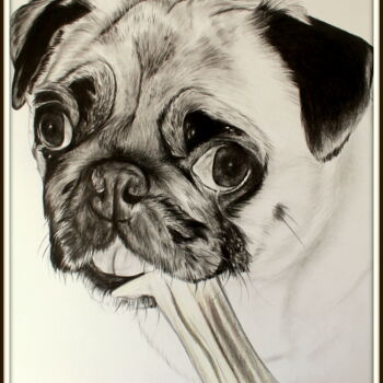 Tekening getiteld "portrait chien noir…" door Samos17 Portraitiste, Origineel Kunstwerk, Potlood