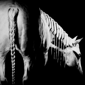 Dessin intitulée "cheval dessin à la…" par Samos17 Portraitiste, Œuvre d'art originale, Graphite