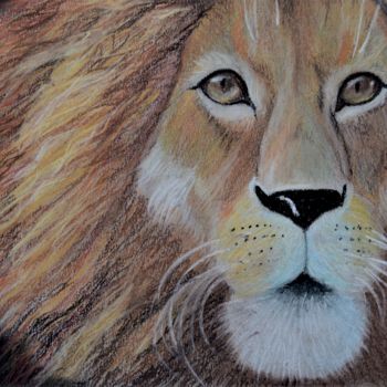 Картина под названием "portrait of a lion…" - Наталья Самойлова, Подлинное произведение искусства, Пастель
