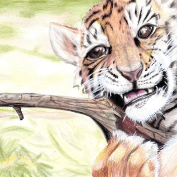 Disegno intitolato "tigron.jpg" da Sandra Chapdelaine, Opera d'arte originale, Altro