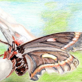 Dessin intitulée "petit-papillon077.j…" par Sandra Chapdelaine, Œuvre d'art originale, Autre
