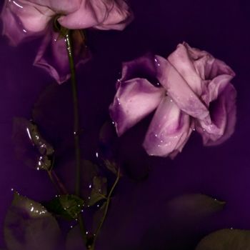 Photographie intitulée "Le Violet" par Sandra Platas Hernández, Œuvre d'art originale, Photographie numérique