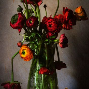 Фотография под названием "Ranunculus" - Sandra Platas Hernández, Подлинное произведение искусства, Цифровая фотография