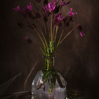 Fotografie mit dem Titel "Butterfly Lavender" von Sandra Platas Hernández, Original-Kunstwerk, Digitale Fotografie