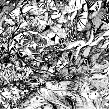 「Abstraction noir et…」というタイトルの描画 Sandra Vigourouxによって, オリジナルのアートワーク, インク