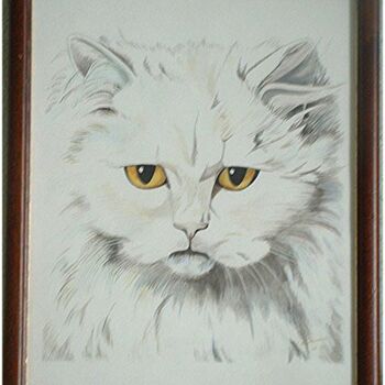 Peinture intitulée "Chat blanc" par Sandrine Audevard, Œuvre d'art originale