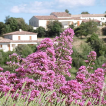 Photographie intitulée "A Beaudinard sur Ve…" par Sandrine N., Œuvre d'art originale, Photographie numérique