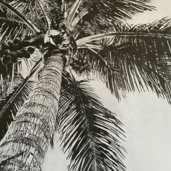 Drawing titled "Cocotier" by Sandrine Royer, Original Artwork, Graphite