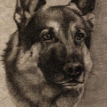 Drawing titled "toby" by Sandrine Saloni, Original Artwork, Other