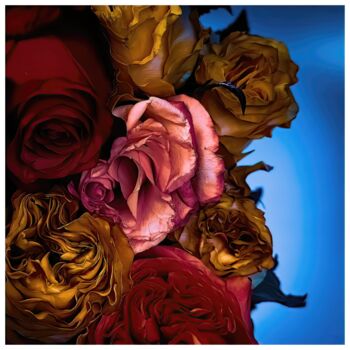 Arts numériques intitulée "Rosa #6195" par Sandro, Œuvre d'art originale, Photographie manipulée