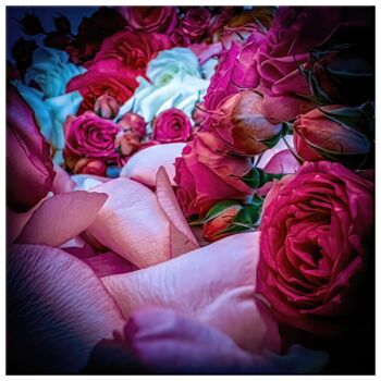 Arts numériques intitulée "Rosa #6638" par Sandro, Œuvre d'art originale, Photographie manipulée