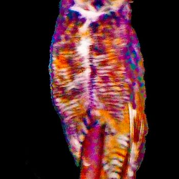Photography titled "Owl" by Sandy Weiner, Original Artwork, Digital Photography