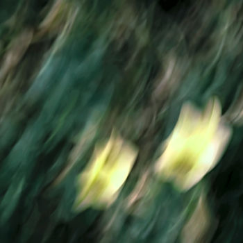 Photography titled "New impressionism" by Anna Sangiorgio, Original Artwork