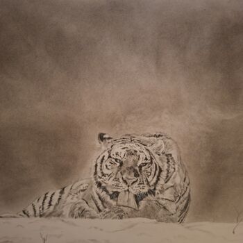 Drawing titled "la force de survivre" by Sankao, Original Artwork, Charcoal Mounted on Other rigid panel