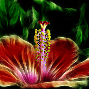 Photography titled "HIBISCUS I FOC" by Santos Merchán, Original Artwork, Manipulated Photography