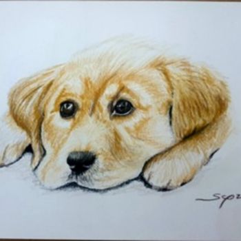 Peinture intitulée "Puppy" par São Vieira, Œuvre d'art originale, Crayon