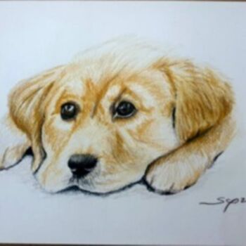 绘画 标题为“Puppy” 由São Vieira, 原创艺术品, 铅笔