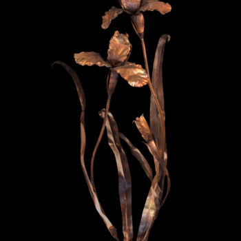 Design intitulée "Irises" par Sapir Gelman, Œuvre d'art originale