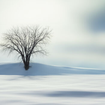 Photography titled "Paysage d'hiver" by Sara Fraysse, Original Artwork, Digital Photography