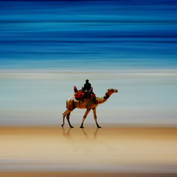 Photographie intitulée "A dos de chameau" par Sara Fraysse, Œuvre d'art originale, Photographie numérique