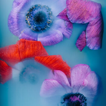 Photography titled "Ephemeral Flowers #1" by Sara Gentilini, Original Artwork, Digital Photography