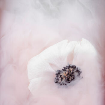 Φωτογραφία με τίτλο "Ephemeral Flowers #3" από Sara Gentilini, Αυθεντικά έργα τέχνης, Ψηφιακή φωτογραφία