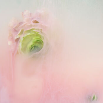 Photography titled "Ephemeral Flowers #5" by Sara Gentilini, Original Artwork, Digital Photography