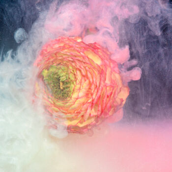 Photographie intitulée "Ephemeral Flowers #…" par Sara Gentilini, Œuvre d'art originale, Photographie numérique