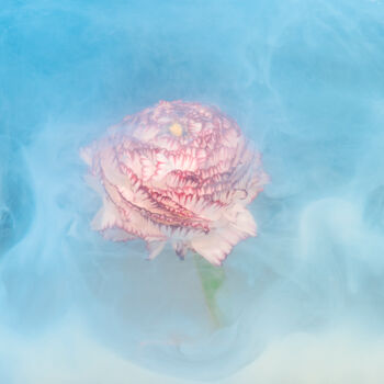 Fotografie getiteld "Ephemeral Flowers #…" door Sara Gentilini, Origineel Kunstwerk, Digitale fotografie