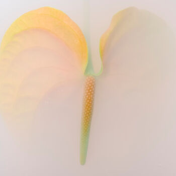 Photography titled "Ephemeral Flowers #…" by Sara Gentilini, Original Artwork, Digital Photography
