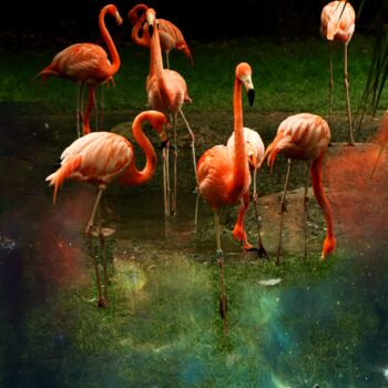 Photography titled "GREEN FLAMINGOS" by Sarah-Jane Marie-Louise, Original Artwork, Manipulated Photography