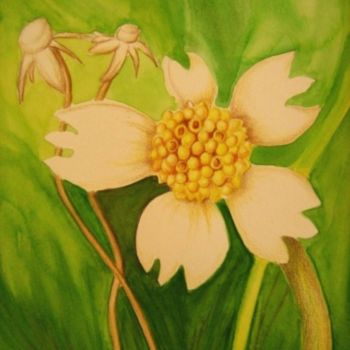 Painting titled "Wildflower-watercol…" by Sarah Davidar, Original Artwork