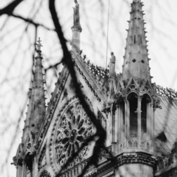 Fotografía titulada "Notre-Dame de Paris…" por Sarcie, Obra de arte original, Fotografía analógica Montado en Otro panel ríg…