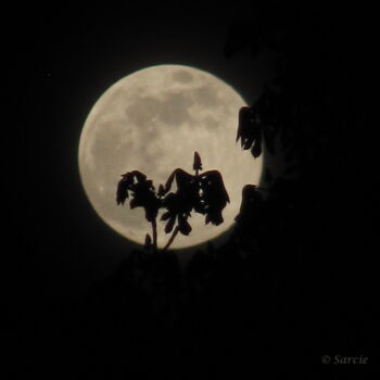 Photography titled "Pleine lune (dibond)" by Sarcie, Original Artwork, Non Manipulated Photography