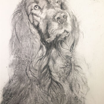 Schilderij getiteld "IRISH SETTER" door Sarita Nanni, Origineel Kunstwerk, Houtskool