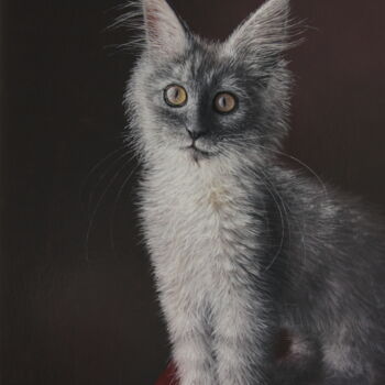 Painting titled "Chaton Maine Coon" by Reza Sarrafi, Original Artwork, Oil