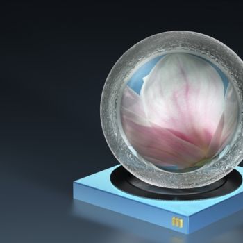 Digitale Kunst mit dem Titel "Magnolienblüte" von Sascheen, Original-Kunstwerk, Fotomontage