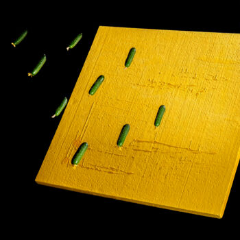 Photographie intitulée "Огурцы с желтым ква…" par Sasha Gorben, Œuvre d'art originale, Photographie numérique