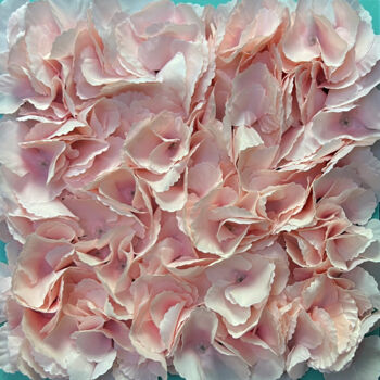 Schilderij getiteld "Powder pink roses" door Sasha Robinson, Origineel Kunstwerk, Collages