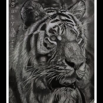 Drawing titled "Hyperrealistic tige…" by Satyajeet Kumar, Original Artwork, Pencil