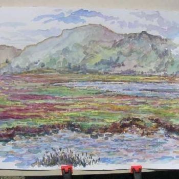 Schilderij getiteld "San Elijo Lagoon" door Lee Sautereau, Origineel Kunstwerk