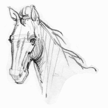 Pintura intitulada "cheval-2.jpg" por Saycyl, Obras de arte originais