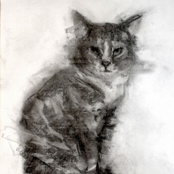 Desenho intitulada "Cat" por Sbboursot, Obras de arte originais, Carvão