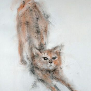 Dibujo titulada "Stray Cat" por Sbboursot, Obra de arte original, Carbón