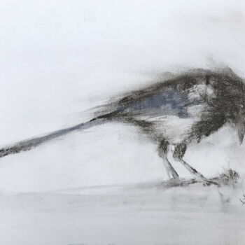 Dibujo titulada "Magpie (sketch)" por Sbboursot, Obra de arte original, Carbón