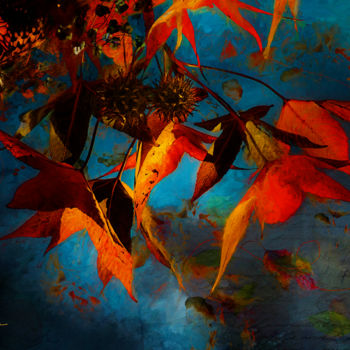 Digital Arts titled "Autumn Dance" by Shelley Benjamin, Original Artwork, Digital Painting