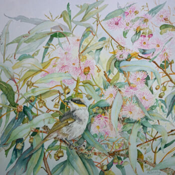 Ζωγραφική με τίτλο "Singing Honeyeater…" από Scally Art, Αυθεντικά έργα τέχνης, Ακουαρέλα
