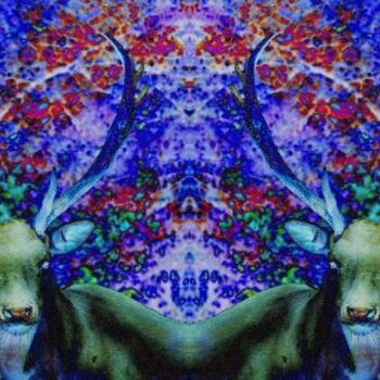 Digitale Kunst mit dem Titel "acid-deer 01" von Schockraum, Original-Kunstwerk