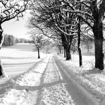 Φωτογραφία με τίτλο "Track and snow cove…" από Scott Gregory Banner, Αυθεντικά έργα τέχνης, Φωτογραφική ταινία