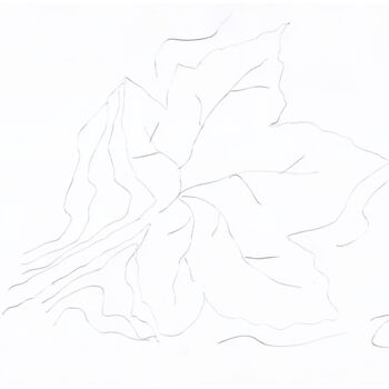Tekening getiteld "Autumn Winds - Leaf…" door Scribblesnotscribbles, Origineel Kunstwerk, Balpen